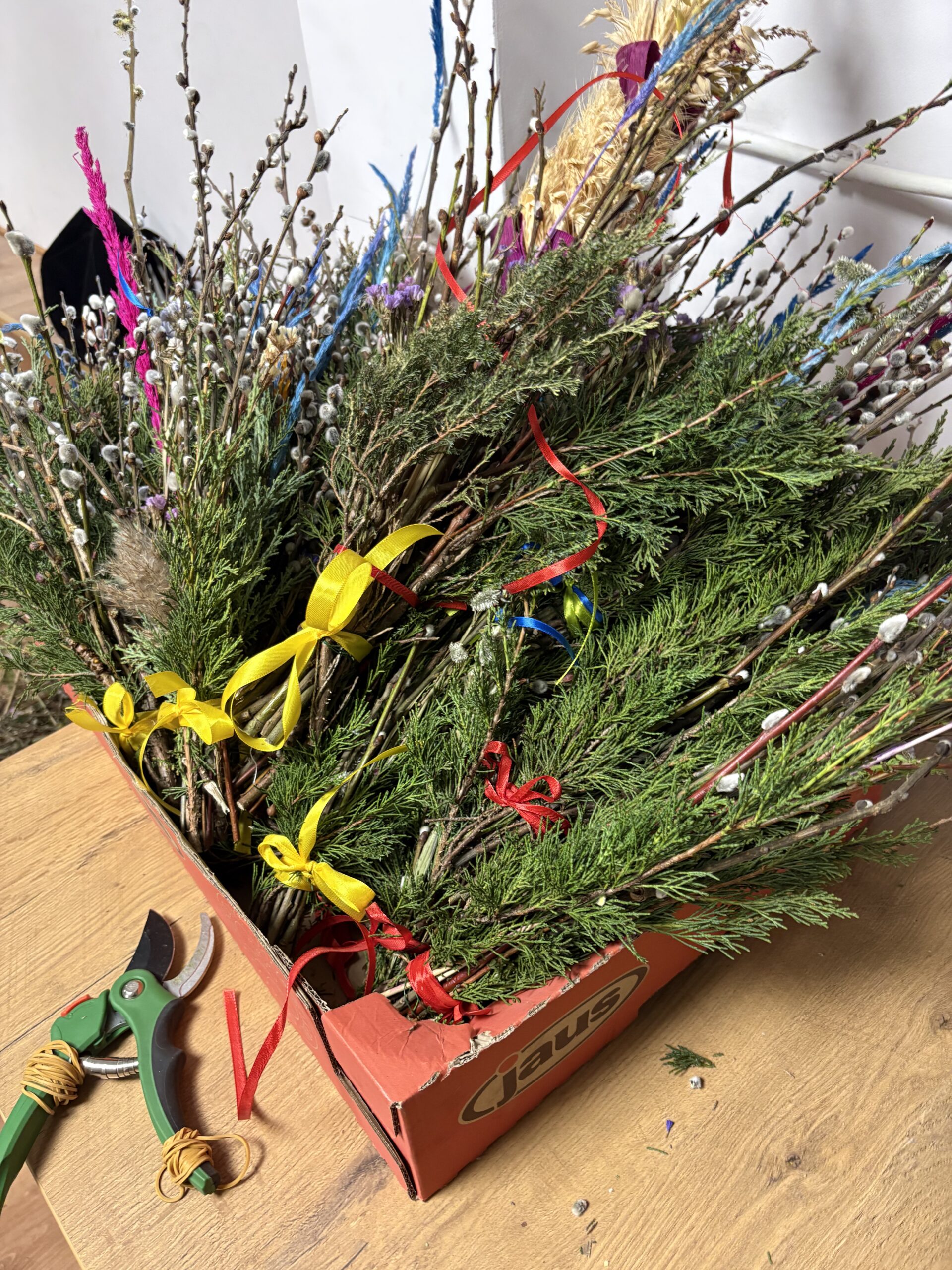 Akcja „palemka” dla LSO